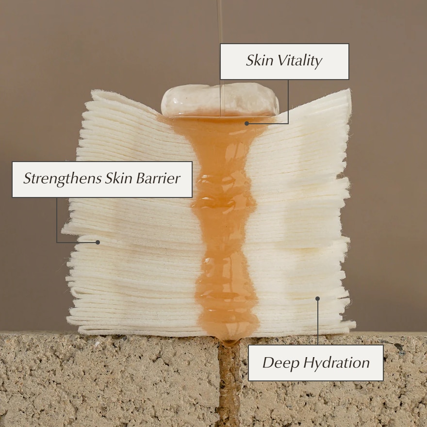 KAINE Kombu Balancing Ampoule Toner Set